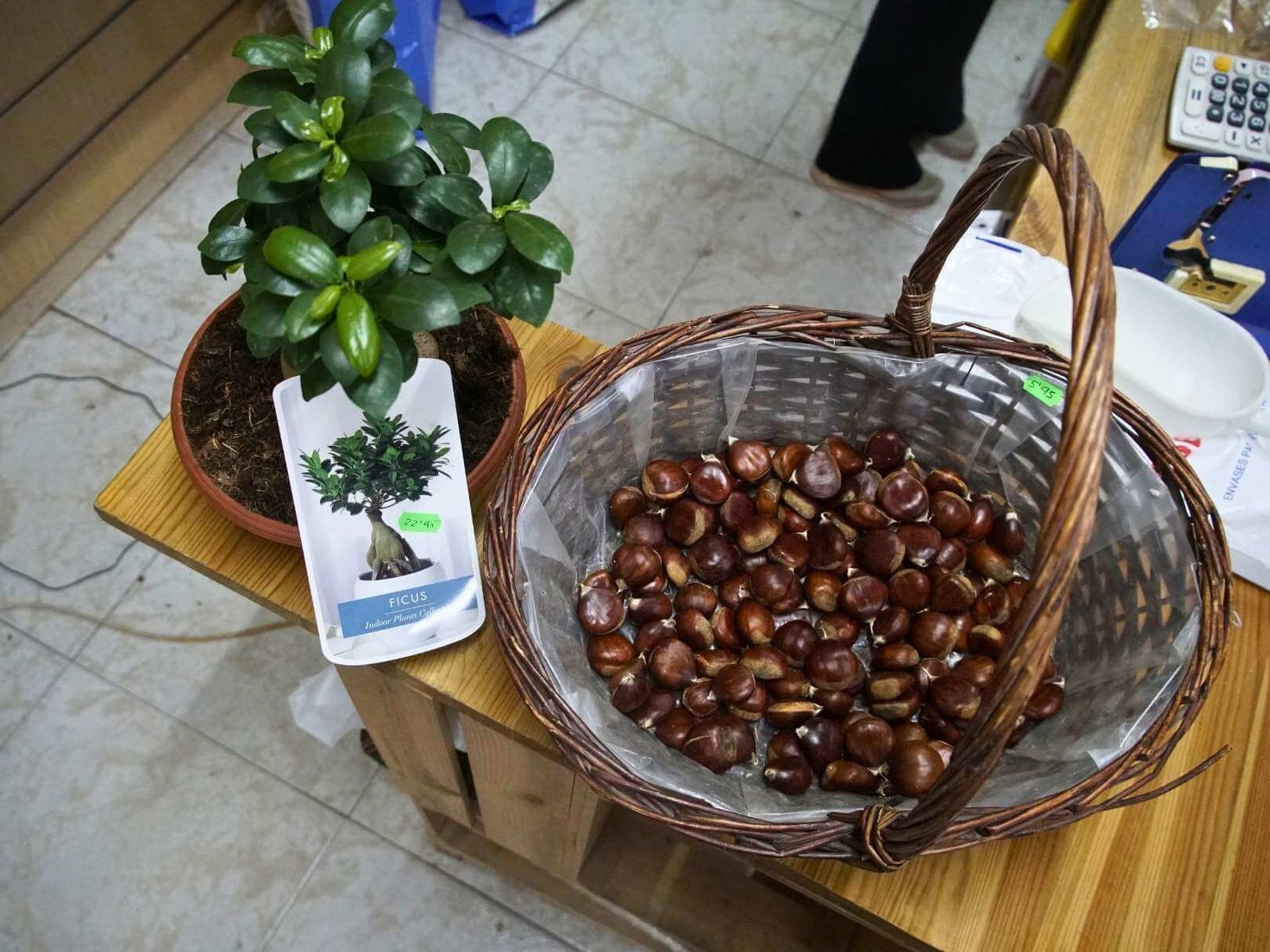 4 semilleria-paraiso-mascotas-plantas-productos-naturales-infusiones-frutos-secos-sevilla