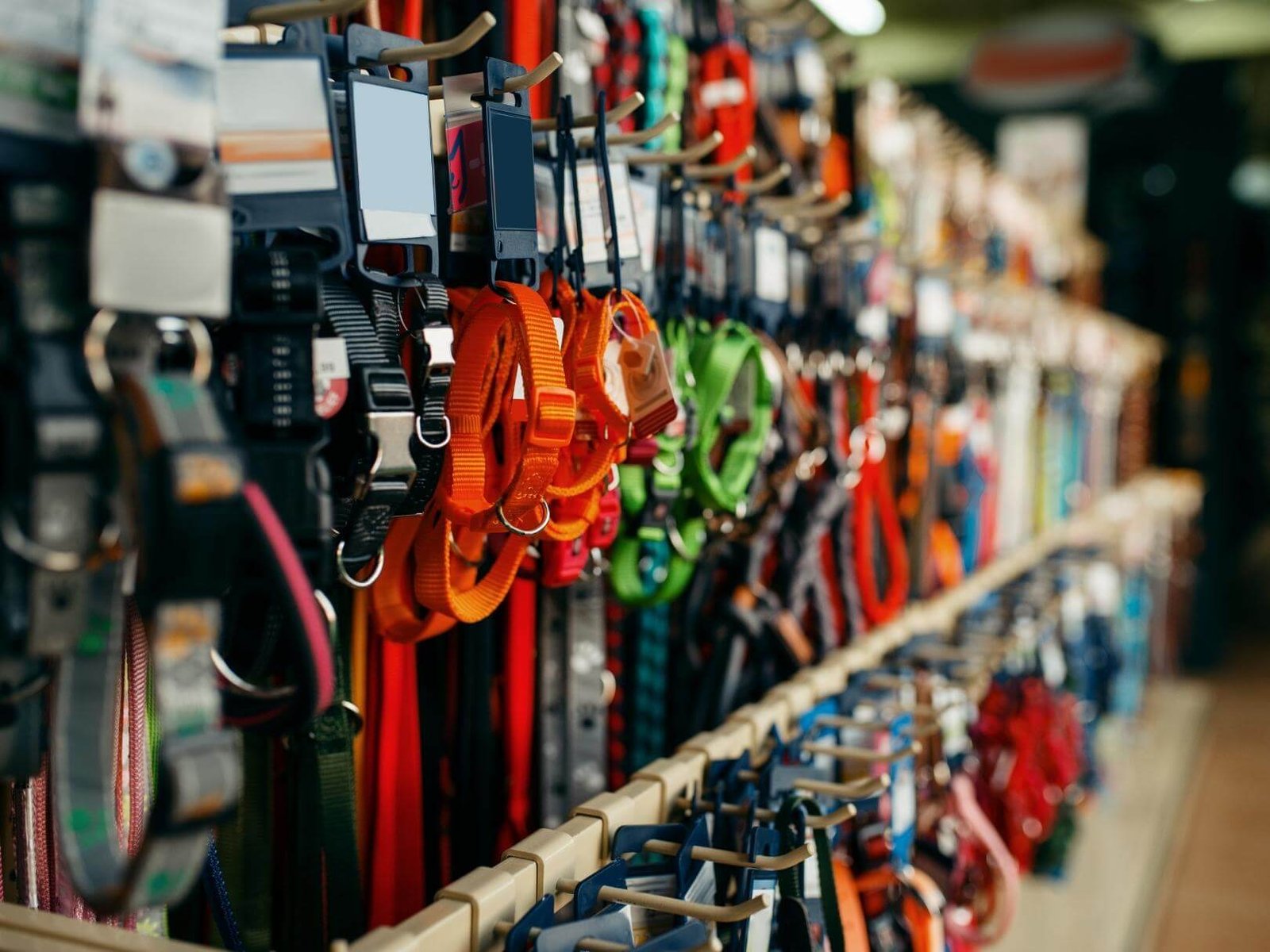 8 semilleria-paraiso-mascotas-plantas-productos-naturales-infusiones-frutos-secos-sevilla